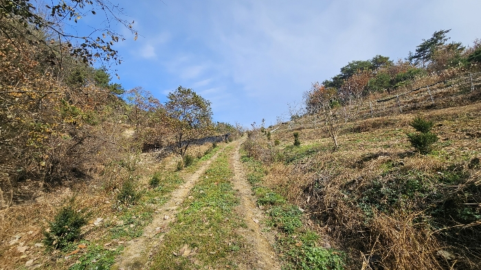 본건 전경_1
