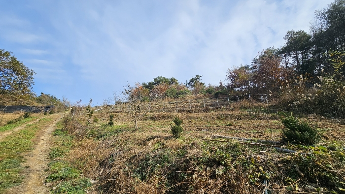 본건 전경_2
