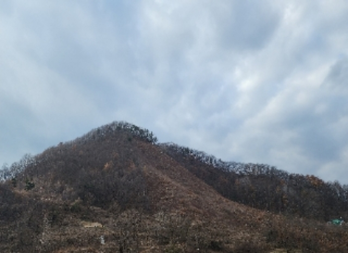 2024타경11605