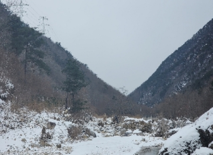 충청북도 옥천군 군서면 금산리 1