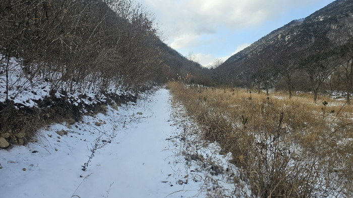 본건 인접도로 전경
