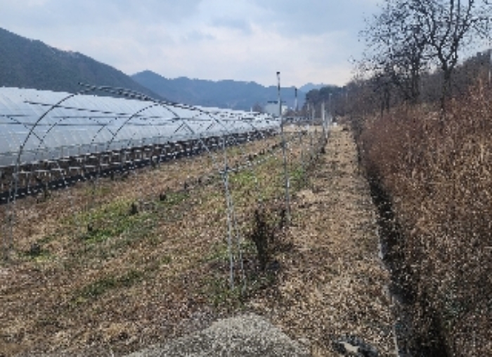 충청북도 영동군 매곡면 노천리 412-5