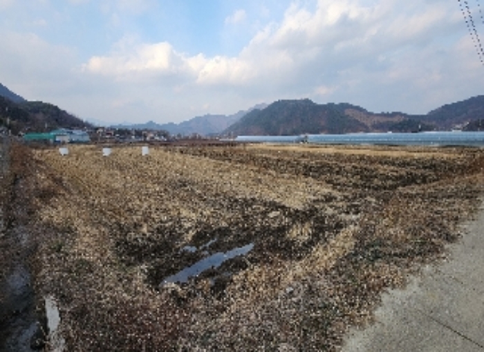 충청북도 영동군 매곡면 노천리 175