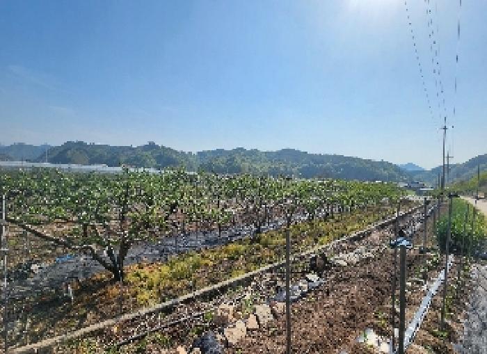 충청북도 영동군 양강면 묵정리 336-5