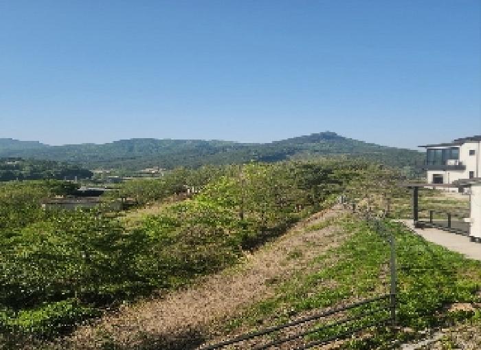 충청북도 영동군 양산면 수두리 308-2