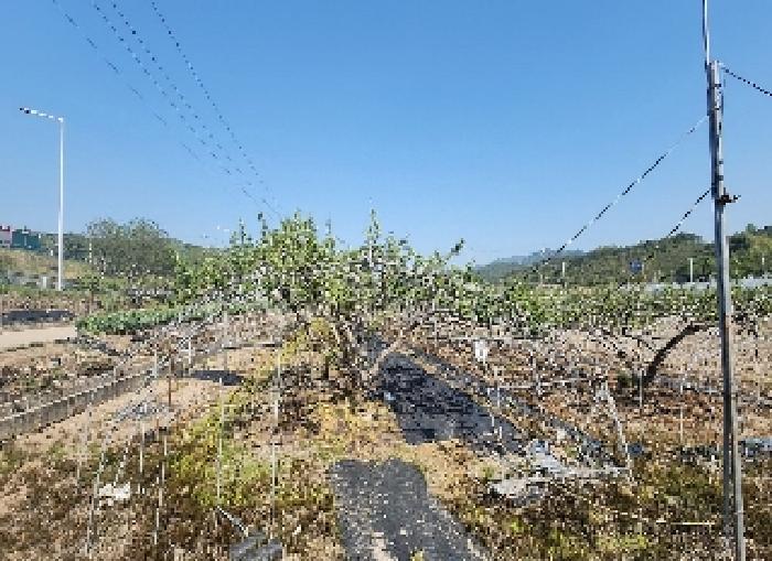 충청북도 영동군 양강면 묵정리 336-5
