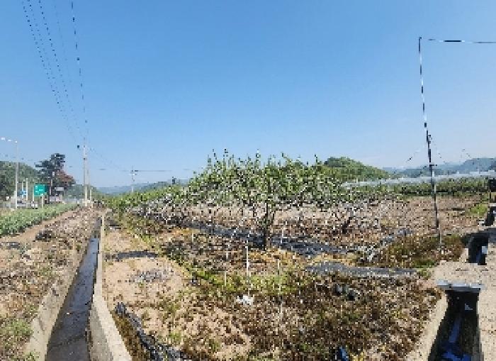 충청북도 영동군 양강면 묵정리 336-5