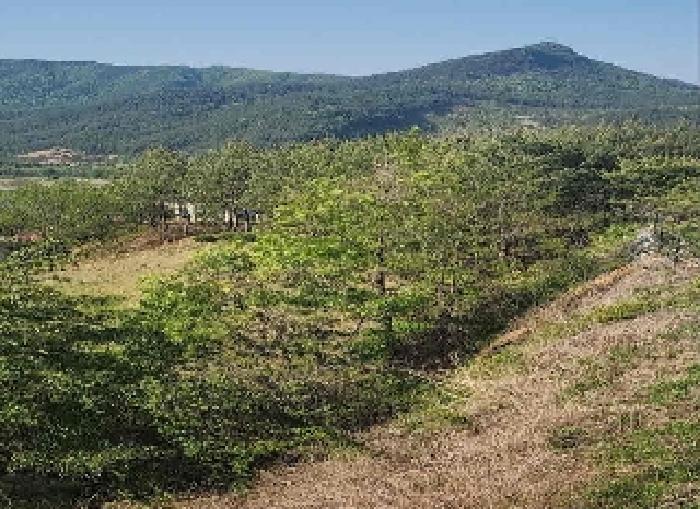 충청북도 영동군 양산면 수두리 308-2