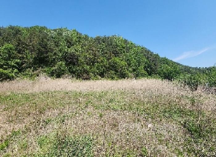 충청북도 영동군 학산면 지내리 1464-1
