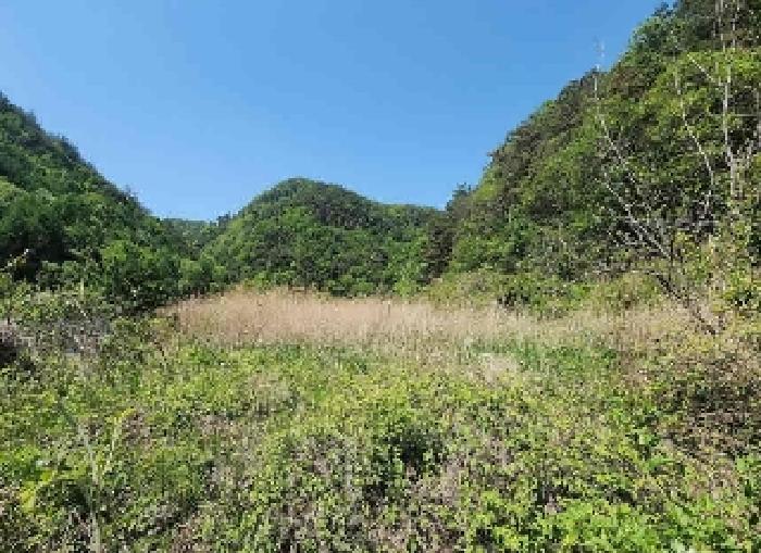 충청북도 영동군 학산면 지내리 1451