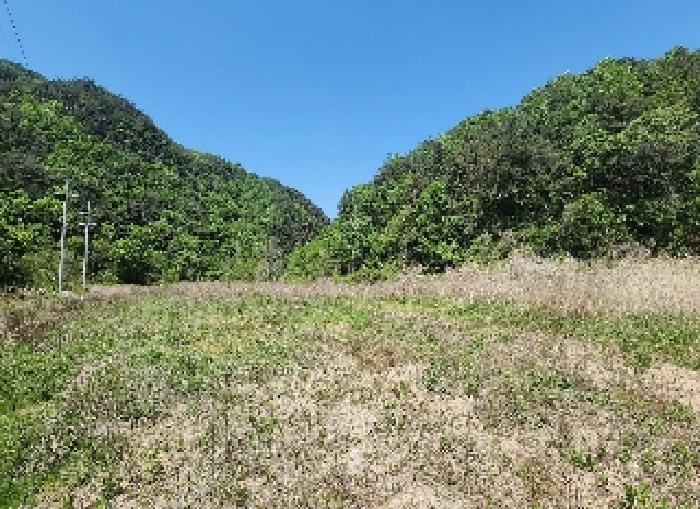 충청북도 영동군 학산면 지내리 1464-1