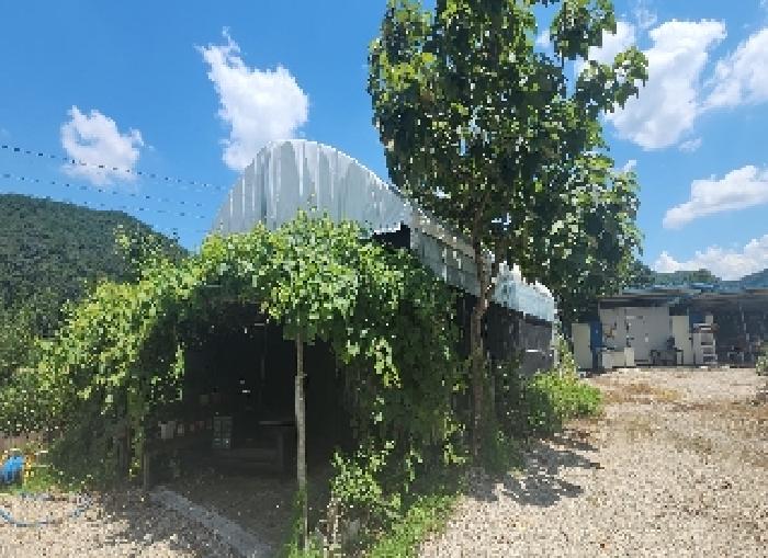 충청북도 옥천군 청성면 거포리 242-1
*제시외 컨테이너 2동