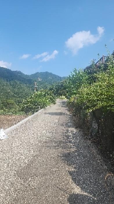 충청북도 옥천군 군서면 금산리 242-27