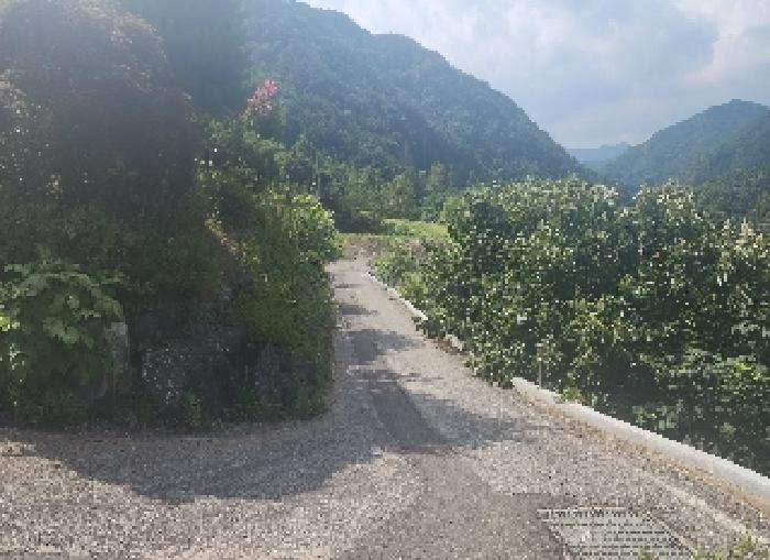 충청북도 옥천군 군서면 금산리 242-27