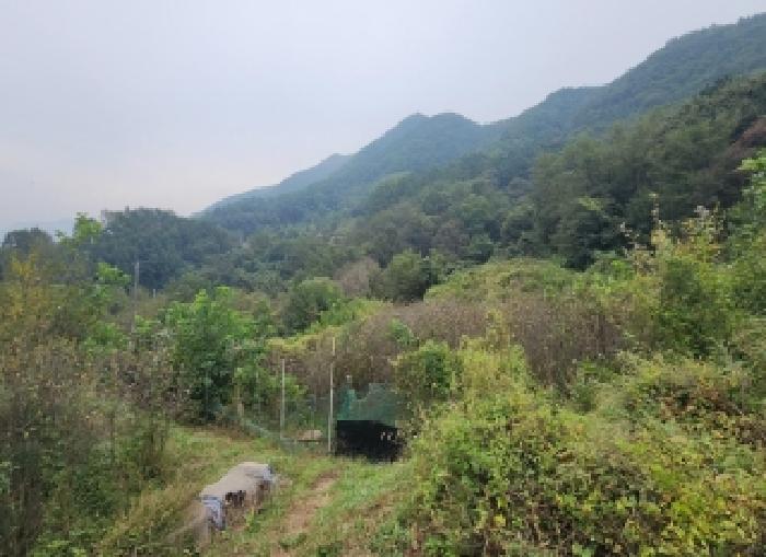 충청북도 옥천군 동이면 세산리 산63-4
