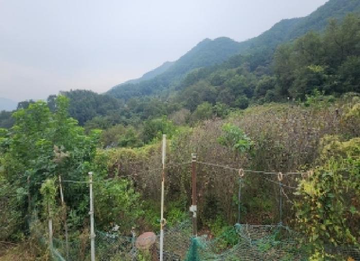 충청북도 옥천군 동이면 세산리 산63-4