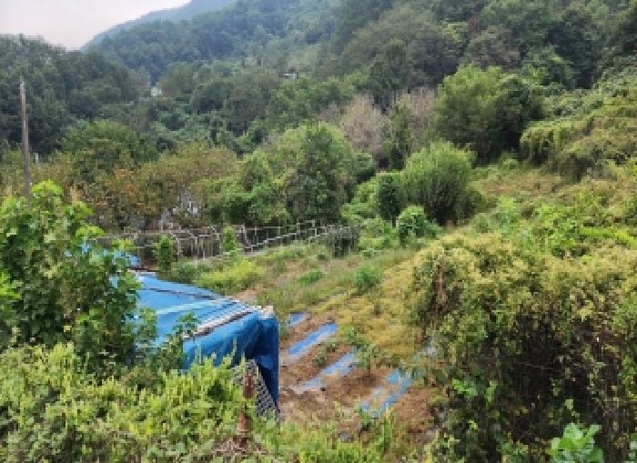 충청북도 옥천군 동이면 세산리 산63-4