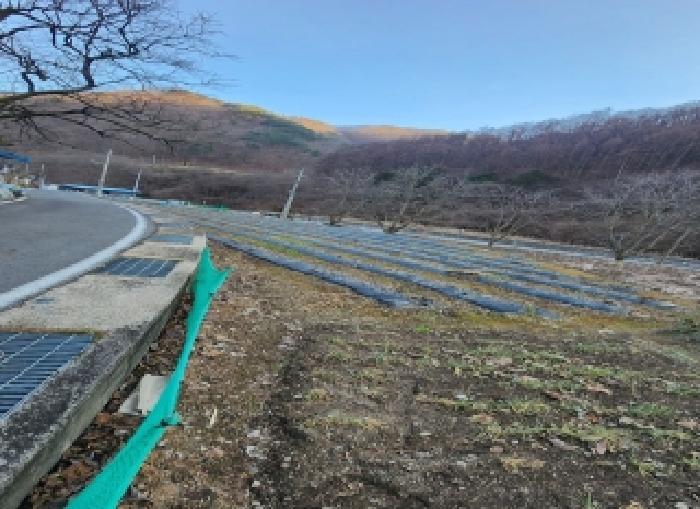 충청북도 영동군 용화면 자계리 396