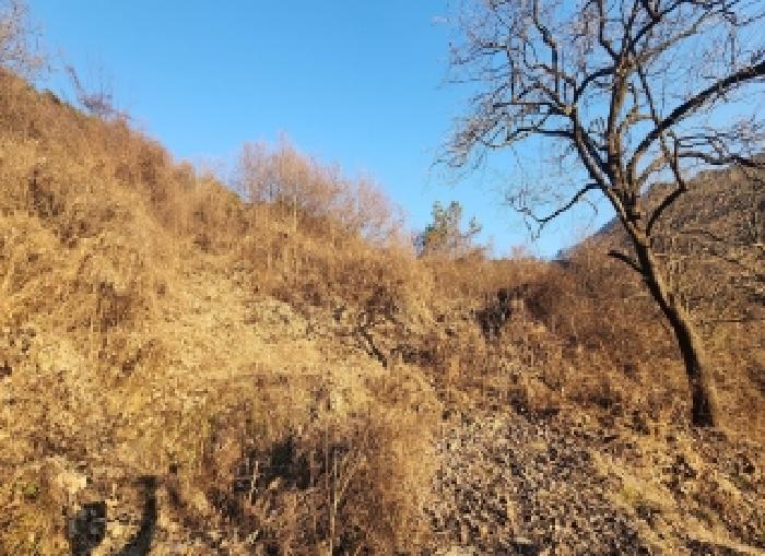충청북도 영동군 용화면 자계리 412