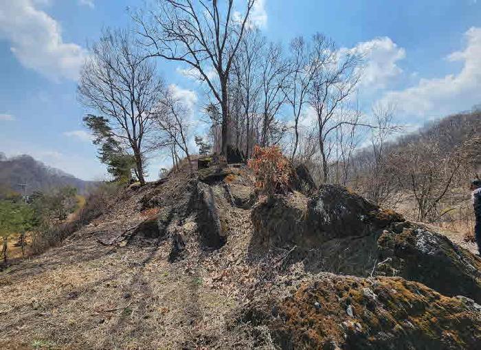 충청북도 옥천군 군북면 지오리 산141-1