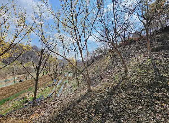 충청북도 옥천군 군북면 지오리 383-3