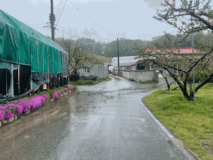 남측 도로상황