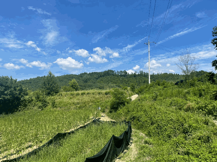 본건 주변환경