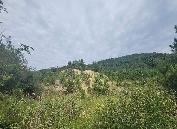 충청북도 영동군 용산면 법화리 산2