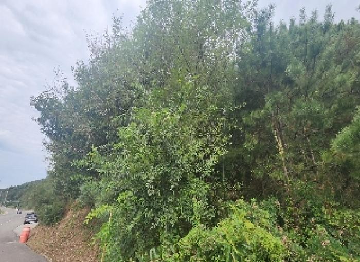 충청북도 영동군 용산면 법화리 19