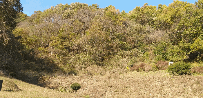 기호 2 근경