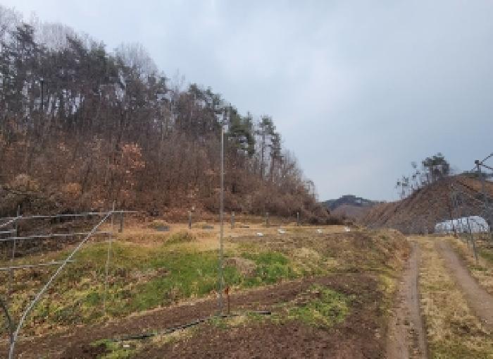 충청북도 영동군 학산면 범화리 1280-1