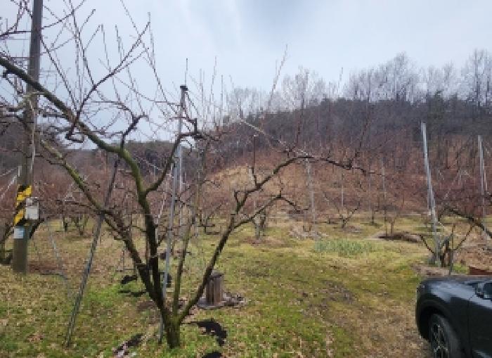 충청북도 영동군 학산면 범화리 1285