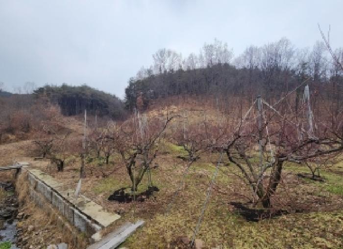 충청북도 영동군 학산면 범화리 1285