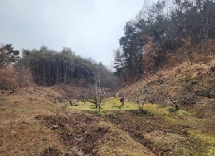 충청북도 영동군 학산면 범화리 1286