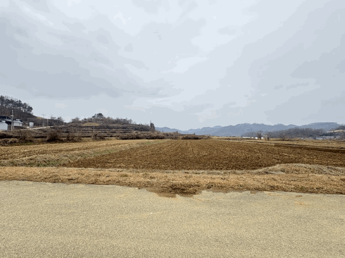 본건 동측에서 촬영한 전경