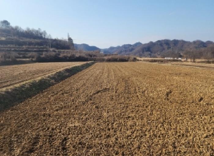 충청북도 옥천군 안남면 도덕리 1046
