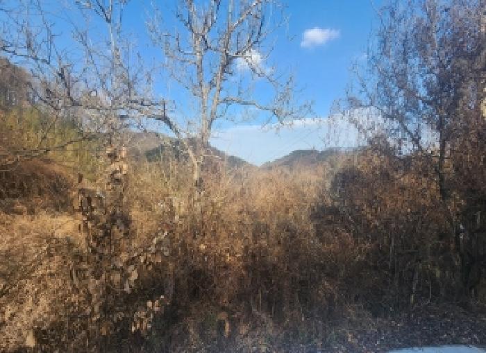 충청북도 영동군 용산면 율리 434