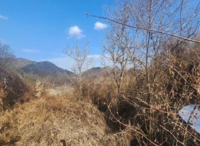 충청북도 영동군 용산면 율리 434