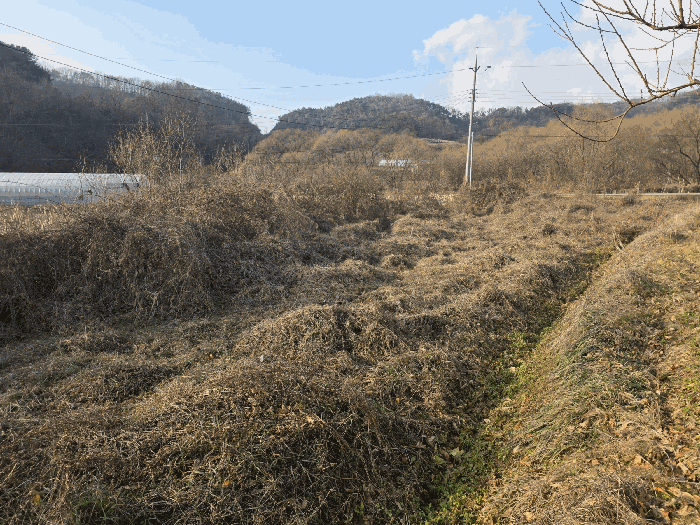 일련번호 1) 전경 (남측에서 촬영)