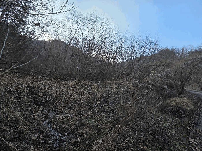 일련번호 2) 전경 (북동측에서 촬영)