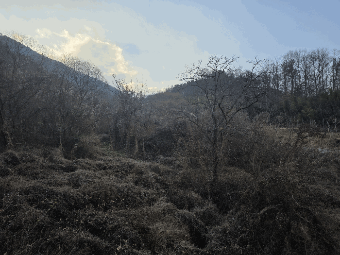 일련번호 3) 전경 (동측에서 촬영)