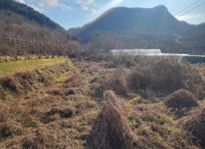 충청북도 영동군 용산면 율리 166