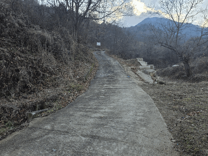 일련번호 4) 인근 도로 상황