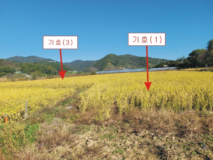 2022타경109940