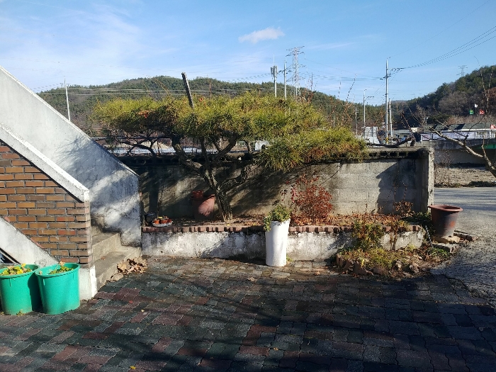 2022타경112519
