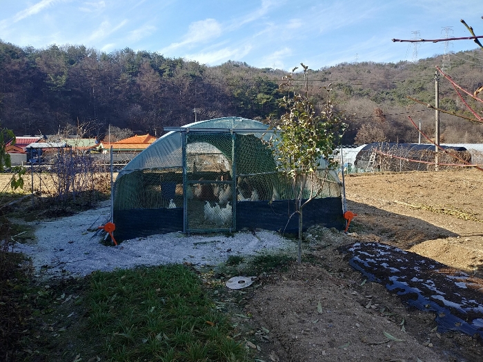 2022타경112519