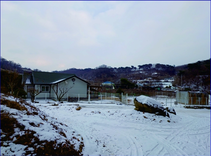 2022타경113956[2]