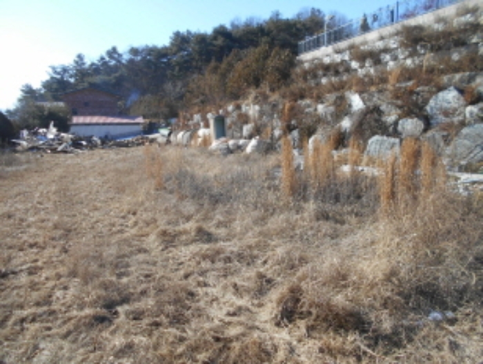 2023타경507[2]
