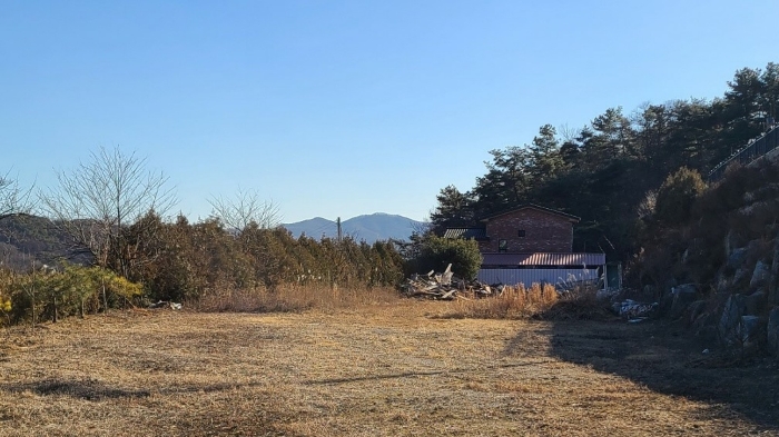 2023타경507[2]