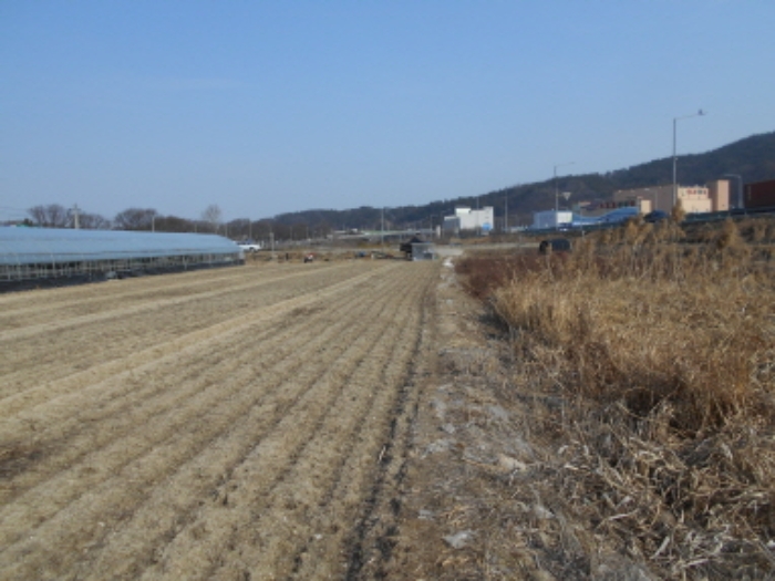 2023타경1180